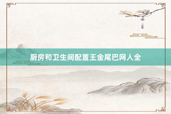 厨房和卫生间配置王金尾巴网人全